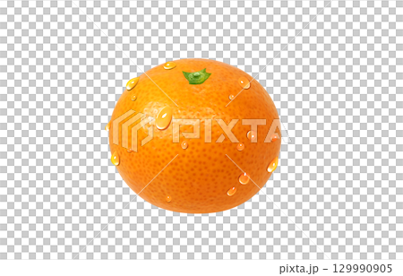 みかんのイラスト リアル ミカン 129990905