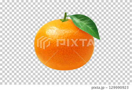 Mandarin orange illustration realistic mandarin orange 129990923