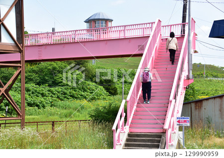 JR北海道、根室本線の浜中駅から厚岸駅までの車窓風景(2023年) 129990959
