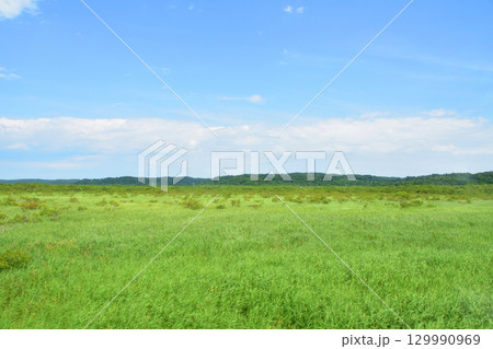JR北海道、根室本線の浜中駅から厚岸駅までの車窓風景(2023年) 129990969