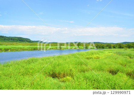 JR北海道、根室本線の浜中駅から厚岸駅までの車窓風景(2023年) 129990971