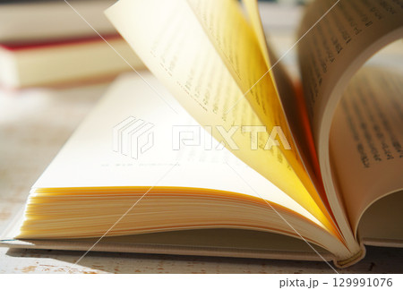 読書の秋・本を開く(イメージ) 129991076