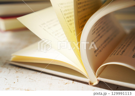 読書の秋・本を開く(イメージ) 129991113