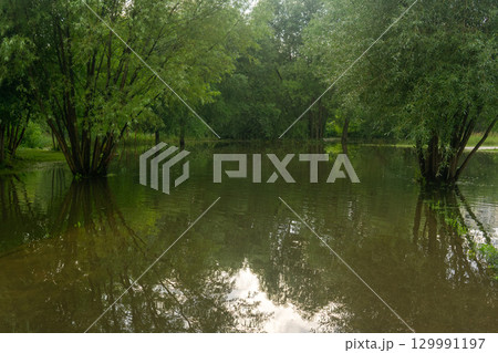 landscape of flooded park after heavy rain landscape of flooded park after heavy rain 129991197