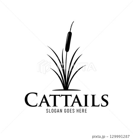 Cattail grass logo vector illustration design on white background Cattail grass logo vector illustration design on white background 129991287