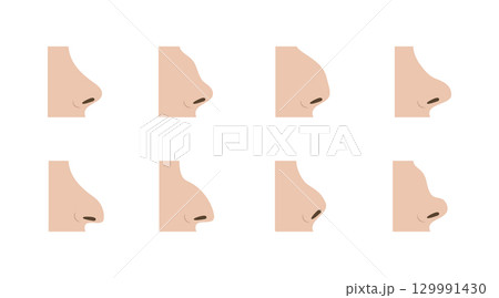 Various Nose Shapes Representing Rhinoplasty Options for Diverse Patients Various Nose Shapes Representing Rhinoplasty Options for Diverse Patients 129991430