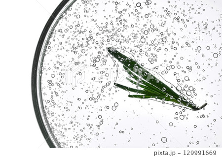 The texture of the rosemary cosmetic gel in close-up. The texture of the rosemary cosmetic gel in close-up. 129991669