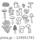 Set of mushrooms drawn in engraving style 129991783