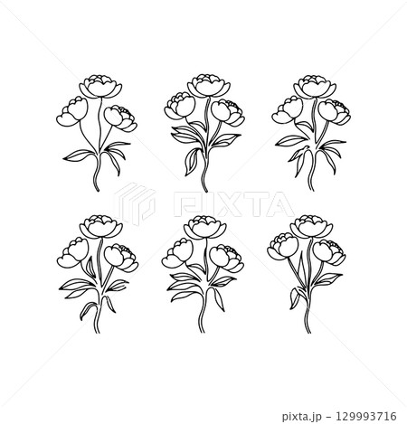 Floral line art design featuring peonies in varying arrangements for creative projects and decor Floral line art design featuring peonies in varying arrangements for creative projects and decor 129993716