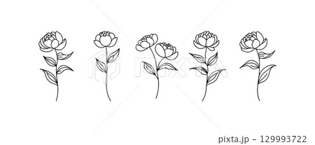Delicate floral line art showcasing various stages of blooming peonies on a clean white background Delicate floral line art showcasing various stages of blooming peonies on a clean white background 129993722