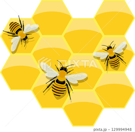 Bees on honeycomb, vibrant yellow and black stripes, adding a touch of nature's sweetness. Bees on honeycomb, vibrant yellow and black stripes, adding a touch of nature's sweetness. 129994948