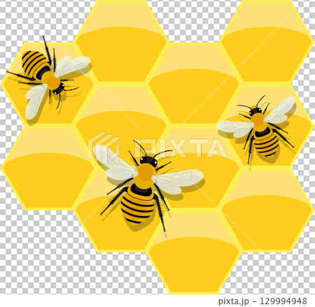 Bees on honeycomb, vibrant yellow and black stripes, adding a touch of nature's sweetness. Bees on honeycomb, vibrant yellow and black stripes, adding a touch of nature's sweetness. 129994948