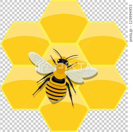 A cartoon bee with yellow and black stripes stands over a honeycomb. The cell is hexagon shaped. 129994953