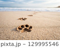 Cat paw print on the sand on the beach 129995546