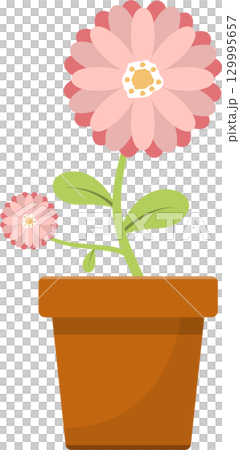 Vibrant floral display featuring two pink blossoms with yellow centers in a terracotta pot. 129995657