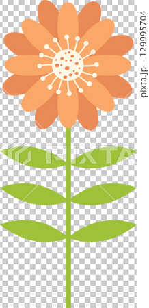 Stylized peach flower with green stem and leaves on a black background in a vector graphic. 129995704