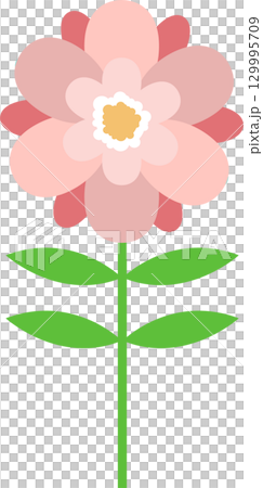 A vector image of a flower with layers of light pink and dark pink petals on a long green stem. A vector image of a flower with layers of light pink and dark pink petals on a long green stem. 129995709