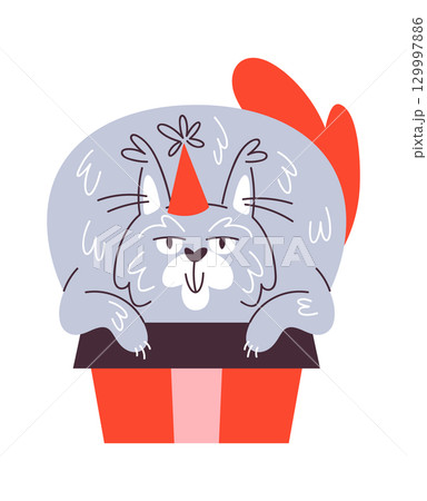 Christmas cat sitting inside gift Christmas cat sitting inside gift 129997886
