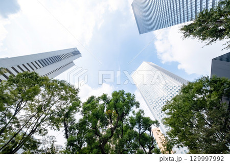 街路樹と高層ビルを見上げるオフィス街の風景 街路樹と高層ビルを見上げるオフィス街の風景 129997992