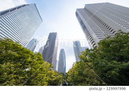 街路樹と高層ビルを見上げるオフィス街の風景 129997996