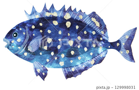 可愛い顔の危険魚アイゴの切り絵貼り絵イラスト 129998031