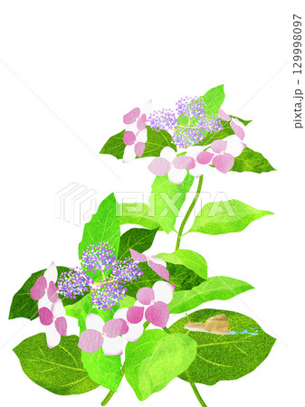 紫陽花の葉ゆっくり進むカタツムリの貼り絵切り絵イラスト 129998097