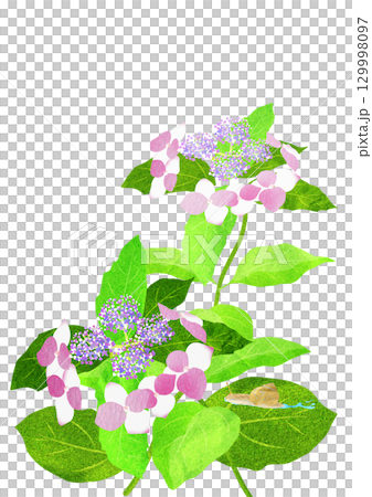 紫陽花の葉ゆっくり進むカタツムリの貼り絵切り絵イラスト 129998097