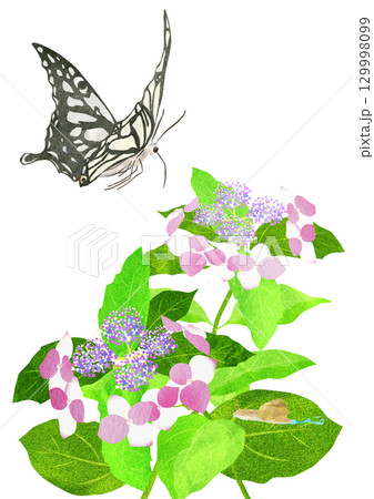 紫陽花の舞う蝶の貼り絵切り絵イラスト 紫陽花の舞う蝶の貼り絵切り絵イラスト 129998099