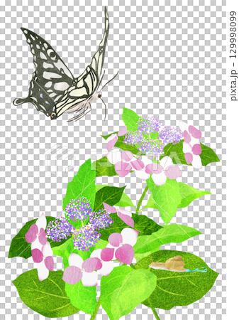 繡球花與蝴蝶拼貼插圖 129998099