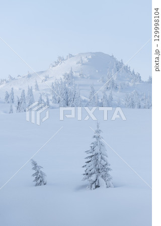 Winter Mountain Landscape With Snow Covered Trees 129998104