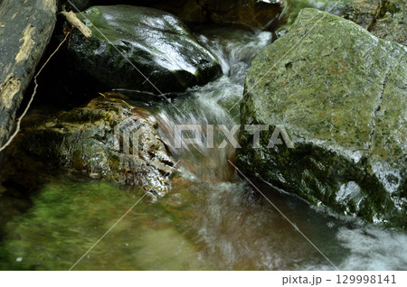 小川の水の流れ 小川の水の流れ 129998141