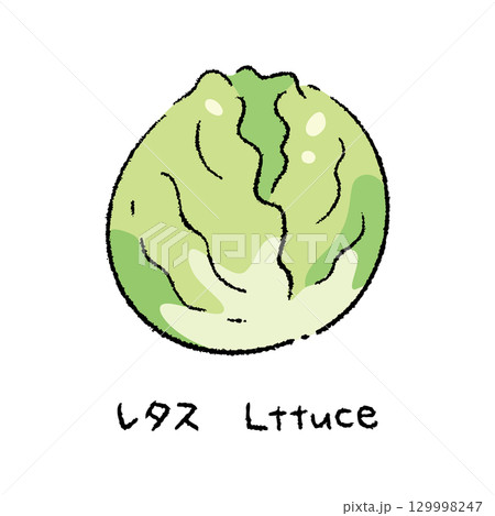 手描きのレタス2_名称入 手描きのレタス2_名称入 129998247