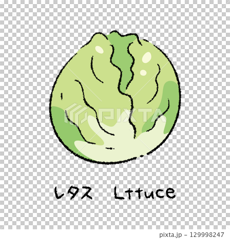 手描きのレタス2_名称入 手描きのレタス2_名称入 129998247