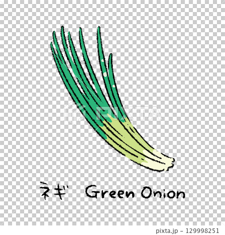 手描きのネギ2_名称入 129998251