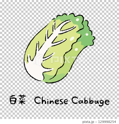 手描きの白菜2_名称入 手描きの白菜2_名称入 129998254