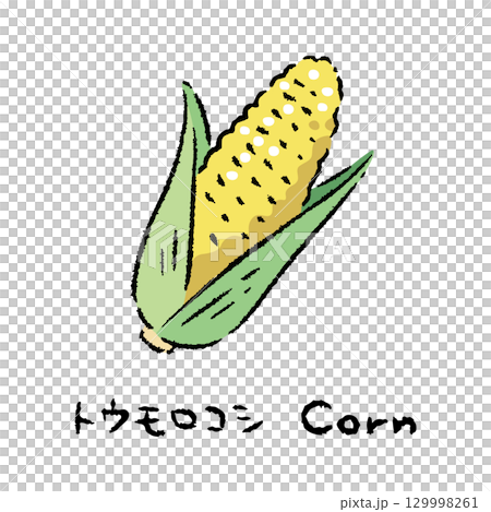 手描きのとうもろこし2_名称入 129998261