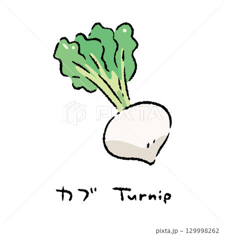 手描きのカブ2_名称入 129998262