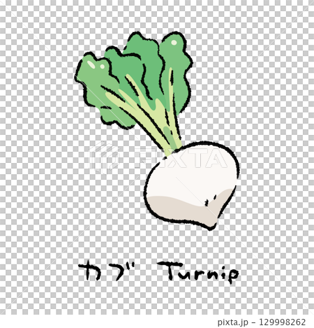 手描きのカブ2_名称入 129998262