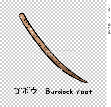 手描きのゴボウ2_名称入 129998263