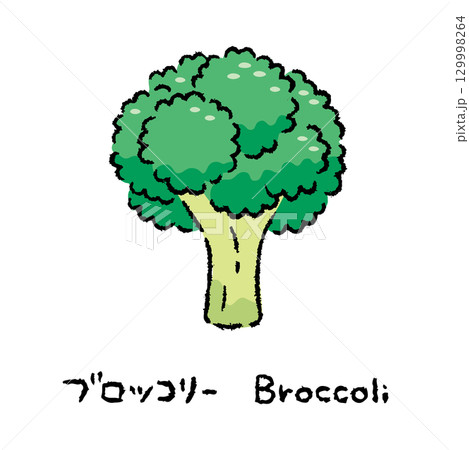 手描きのブロッコリー2_名称入 129998264