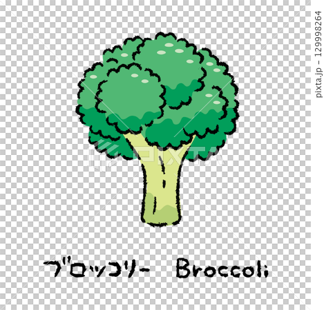 手繪西蘭花 2_name 包括 129998264