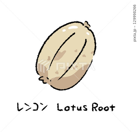 手描きのレンコン2_名称入 129998266
