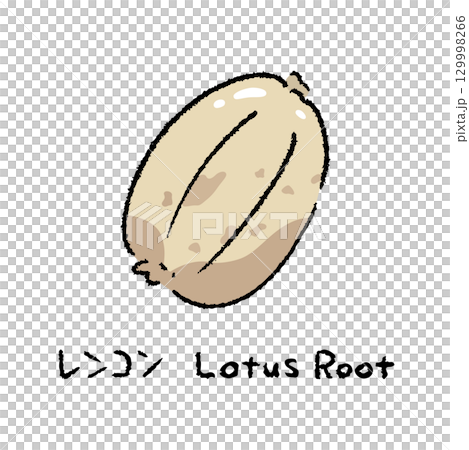 手描きのレンコン2_名称入 129998266