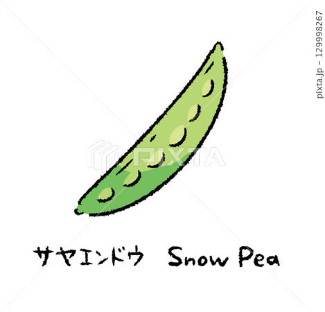 手描きのさやえんどう2_名称入 129998267