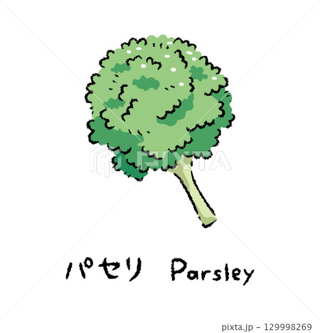 手描きのパセリ2_名称入 129998269