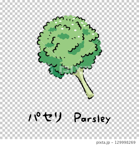 手描きのパセリ2_名称入 129998269