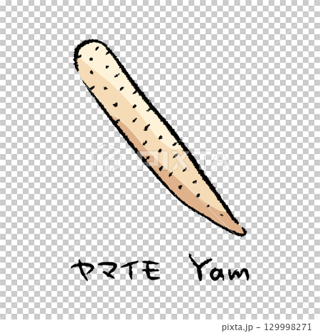手描きのやまいも2_名称入 129998271