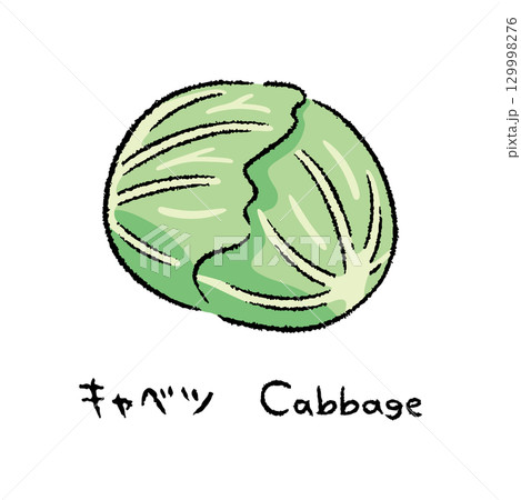 手描きのキャベツ2_名称入 手描きのキャベツ2_名称入 129998276