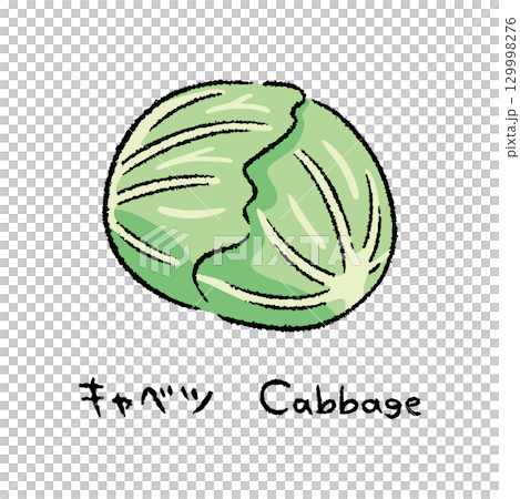 手描きのキャベツ2_名称入 手描きのキャベツ2_名称入 129998276