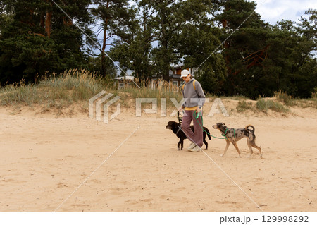 professional dog walker. person walks two pets on beach. dogs on leashes, woman is wearing hat. professional dog walker. person walks two pets on beach. dogs on leashes, woman is wearing hat. 129998292